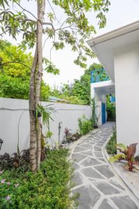 a walkway outside a house with a tree at Tropica Thoddoo Inn, Maldives in Thoddoo
