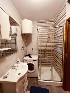 a bathroom with a sink and a washing machine at Apartman Jahorina 6 in Jahorina