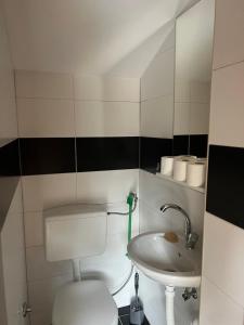 a small bathroom with a toilet and a sink at Apartman Jahorina 6 in Jahorina