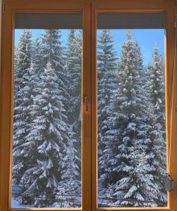 a window with a view of snow covered trees at Apartman Jahorina 6 in Jahorina