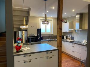 Dapur atau dapur kecil di Gite Boulogne-sur-mer +17 gambar