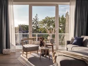 un perro sentado en una sala de estar mirando por la ventana en the breeze en Ahlbeck