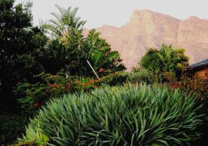a garden with a mountain in the background at Bakoven Cottage in Cape Town