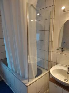 a bathroom with a shower and a sink at Gästezimmer Boxenstopp in Veitsbronn