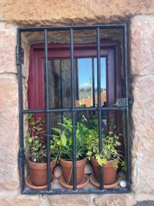Casa Rural Zirimiri en Herreros, Soria في Herreros: نافذة بها قدور النباتات على حافة النافذة