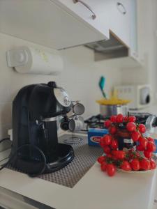 Cuisine ou kitchenette dans l'établissement Romantica Sanremo