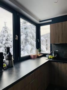 kuchnia z oknem z pokrytym śniegiem drzewem w obiekcie Dom pod lasem w Bielsku Białej