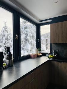 Una cocina con una ventana con un árbol cubierto de nieve. en Dom pod lasem, en Bielsko-Biala