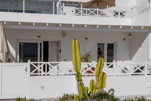 Balkón nebo terasa v ubytování Flower Beach Suite 15