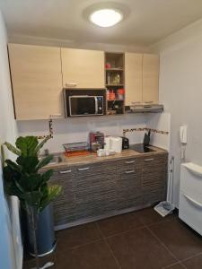a kitchen with a sink and a microwave at Studio Jolly Kop Jana 2 in Kopaonik