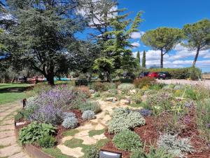 un jardín con flores y plantas en un parque en Poggio del Sole, en Castiglione del Lago