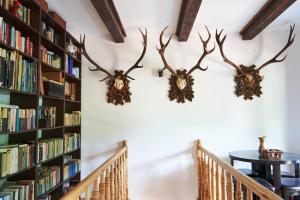um par de chifres de veado na parede de uma biblioteca em Cabana Rose House em Borşa