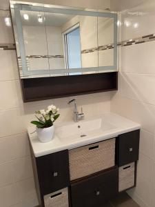 um lavatório de casa de banho com um espelho e um vaso de flores em Bel Appartement modernisé avec terrasse. em Villar-Saint-Pancrace