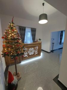 ein Weihnachtsbaum mitten im Wohnzimmer in der Unterkunft Dziadkowiec in Białka Tatrzańska