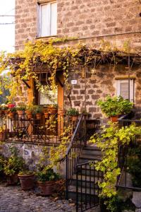 A garden outside Renaissance Boutique House
