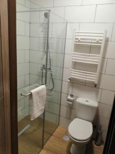 Koupelna v ubytování Sano House