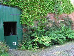 a green building with plants on the side of it at Gästezimmer im Engelshof, 61224 in Moormerland