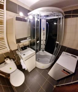 a bathroom with a shower and a toilet and a sink at Bastion Apartment in Timişoara