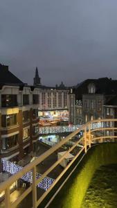 un puente sobre un río en una ciudad con edificios en Appartement Fernand Namur, en Namur