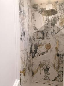 een badkamer met een douche en een marmeren muur bij Appartement Fernand Namur in Namen