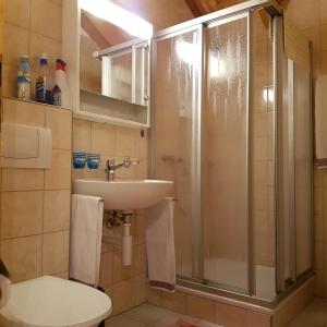 ein Bad mit einer Dusche, einem Waschbecken und einem WC in der Unterkunft Schwendihof in Flumserberg