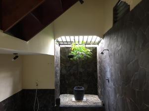 uma casa de banho com um vaso de plantas numa janela em Singko Lovina em Lovina