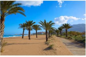 a row of palm trees on a sandy beach at Los Jasminez in Denia