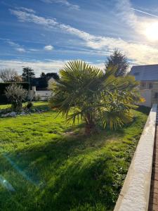 una palmera en un campo de hierba en Gite en Normandie, en Rugles