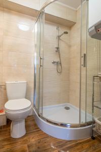 La salle de bains est pourvue d'une douche et de toilettes. dans l'établissement Apartament Dworzec Tatrzański, à Zakopane