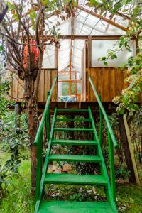 una escalera verde que conduce a un invernadero en NUEVO ! Cabañas en medio de la naturaleza cerca Club Nautico, en Guatavita