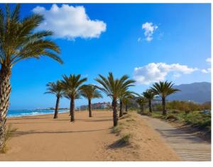 een rij palmbomen op een zandstrand bij La Riviera in Denia