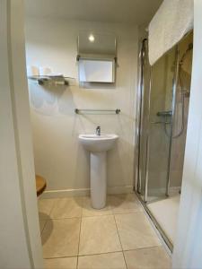 ein Badezimmer mit Toilette, Waschbecken und Dusche in der Unterkunft Stable Cottage in Sandwich + 14 Fotos