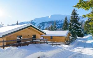 Luxalps- Turrach Alm Chalets Nr 1-4 Grünsee- Sauna- Skifahren- Wandern- Natur v zimě