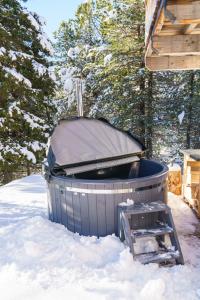Luxalps- Turrach Alm Chalets Nr 1-4 Grünsee- Sauna- Skifahren- Wandern- Natur v zimě