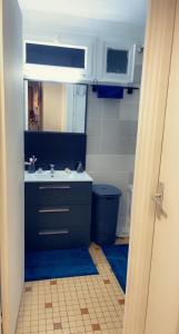 a bathroom with a sink and a mirror at Chambre Propre Calme dans un Quartier Pavillonnaire Proche de Paris, La Défense, Les champs Élysées et Toutes Commodités in Nanterre