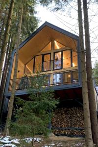 a house in the woods with a large window at Villa Alpiyka in Slavske