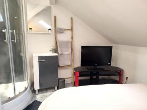 a bedroom with a bed and a television in it at Studio rue Leopold bourg in Épinal