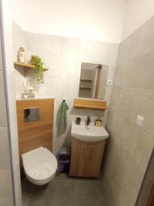 Kúpeľňa v ubytovaní MK Apartament IV