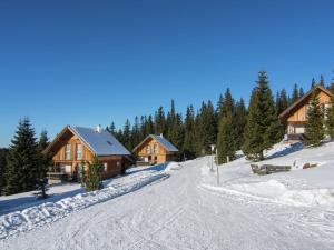 eine Skihütte im Schnee neben einer Skipiste in der Unterkunft Chalet in Carinthia with Sauna near Ski Slopes in Weinebene