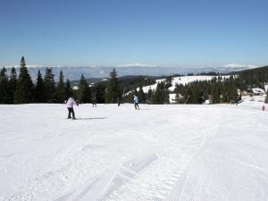 Chalet in Carinthia with Sauna near Ski Slopes im Winter