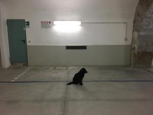 Fotografia z galérie ubytovania CASACUADRA Cavana v destinácii Trieste