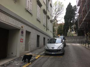 Okolie apartmánu