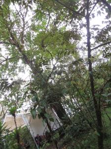 Afbeelding uit fotogalerij van Glamping Rio Celeste Heliconia in San Rafael