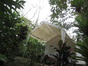 Afbeelding uit fotogalerij van Glamping Rio Celeste Heliconia in San Rafael