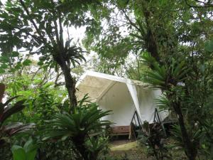 Afbeelding uit fotogalerij van Glamping Rio Celeste Heliconia in San Rafael