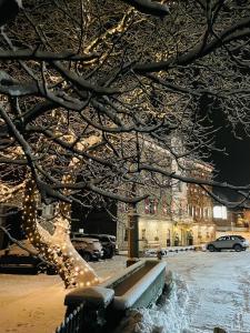 a park bench covered in christmas lights in a city at Hotel Sachsenklemme in Fortezza
