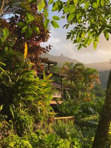 a view of the mountains from a garden with trees at Pousada Tagomago in Abraão