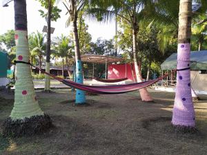 a hammock between palm trees in a park at shree farm in Alibaug