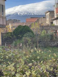 a garden with a view of a snow covered mountain at Etna Sunshine Apartments in Linguaglossa