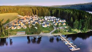 an aerial view of a house on an island in the water at Lipno - Villa Bernard - Lakeside Village in Frymburk